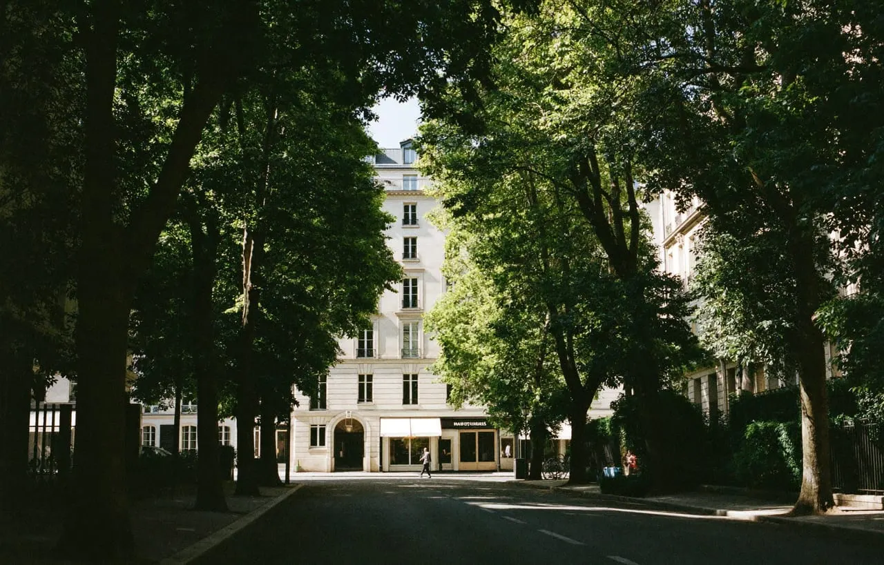 Avenue arborée et verdoyante bordée d'immeubles, dans le 12e arrondissement de Paris