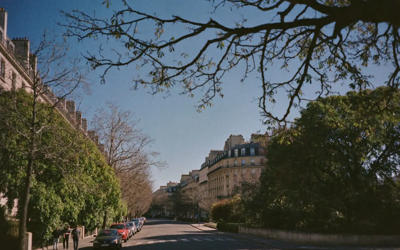 Avenue résidentielle arborée du 15e arrondissement de Paris