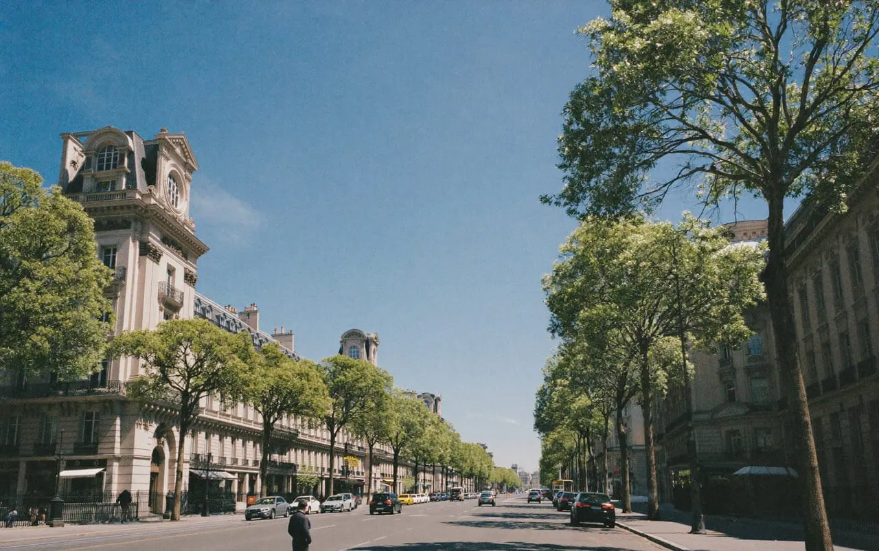 Grande avenue arborée bordée d'immeubles haussmanniens, dans le 8e arrondissement de Paris