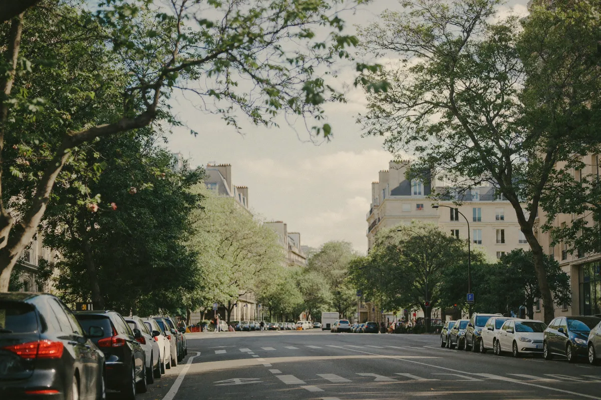 Avenue élégante et arborée de la rive gauche, 7e arrondissement de Paris