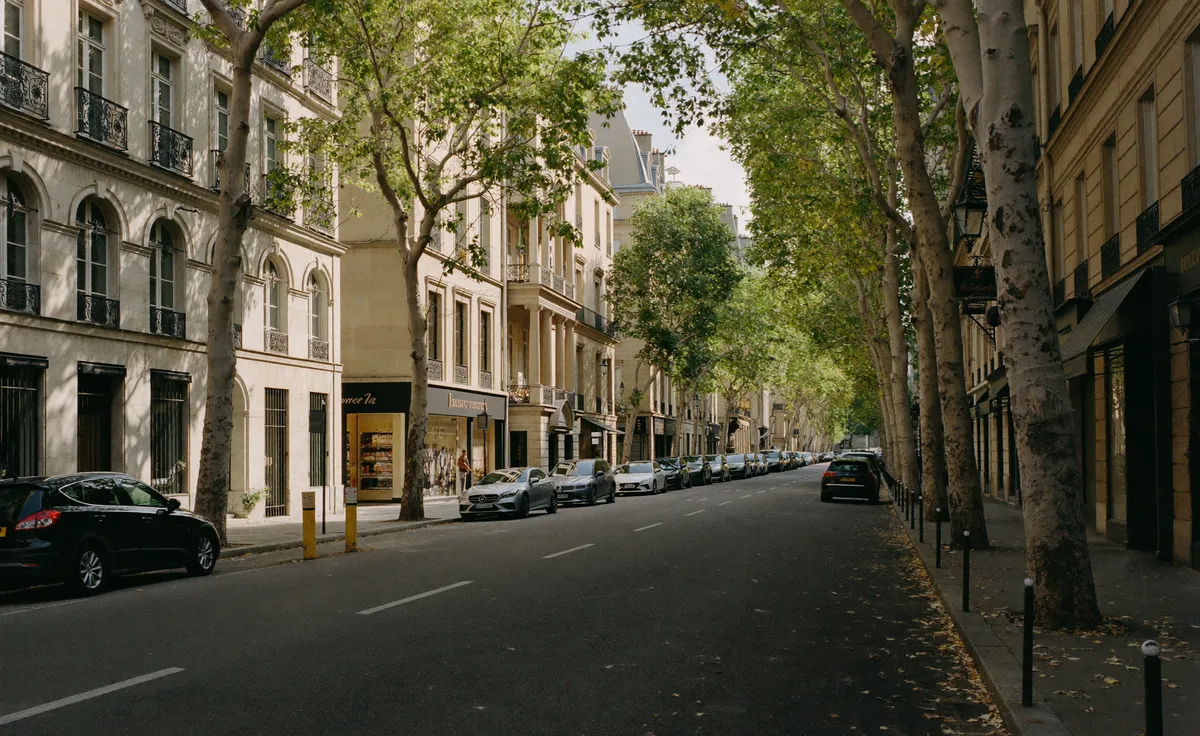 Avenue arborée du 9e arrondissement de Paris
